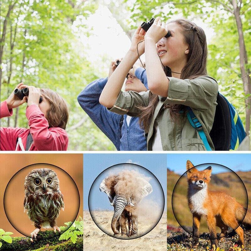 Day Night Vision Binoculars 30 X 60 Outdoor Travel Folding Telescope - Image 4